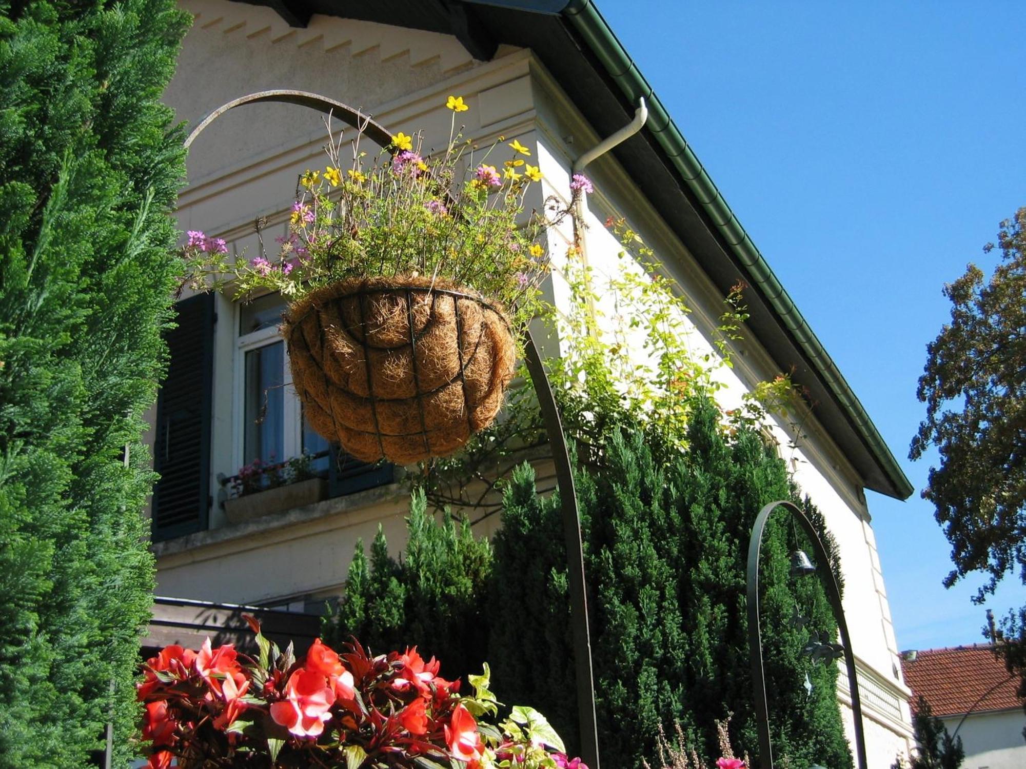 Hotel & Restaurant Le Relais D'Aumale Orry-La-Ville Exterior photo